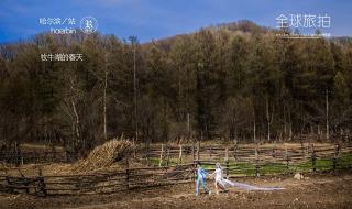 哈尔滨婚纱摄影团购