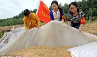 安徽大学生村官待遇 安徽大学生村官待遇